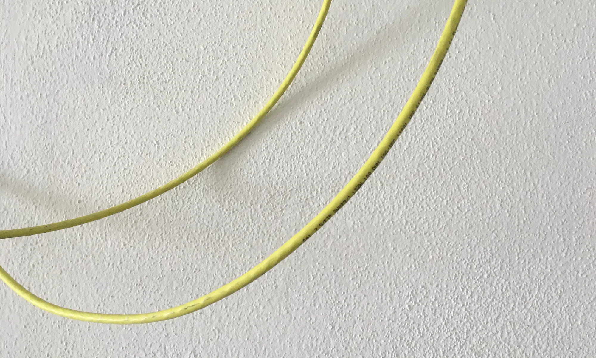 Cavi di rete gialli